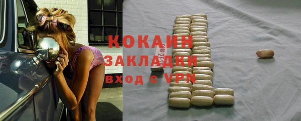 сатива Каменка