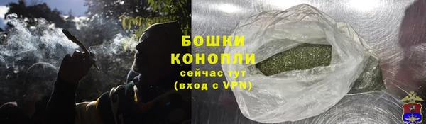 бошки Каменногорск