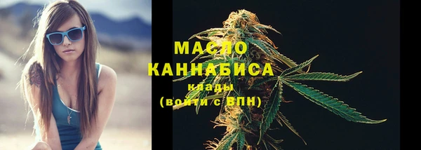 сатива Каменка