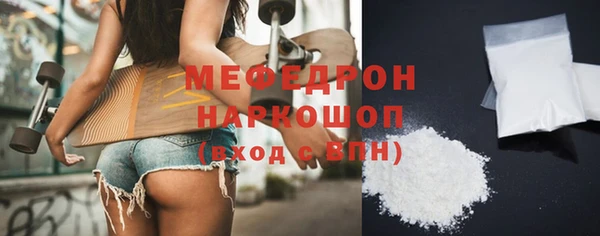 сатива Каменка