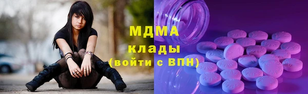 сатива Каменка