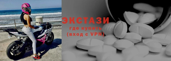 сатива Каменка