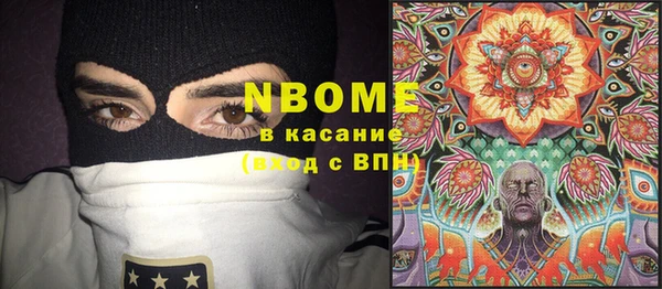 сатива Каменка
