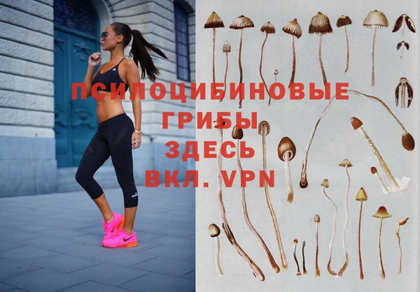 бошки Каменногорск