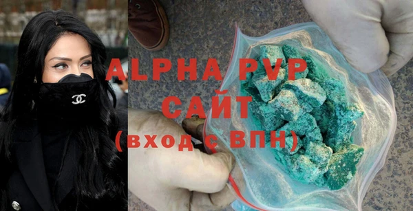 сатива Каменка