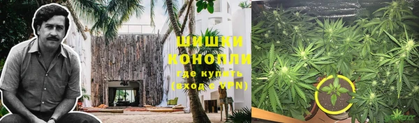 бошки Каменногорск