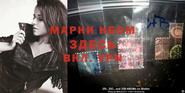 сатива Каменка