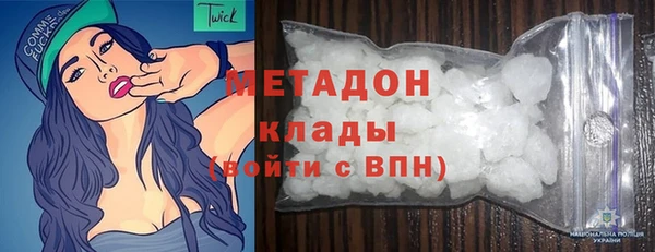 сатива Каменка