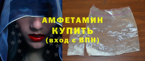 сатива Каменка