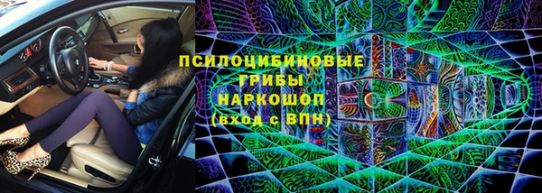 сатива Каменка