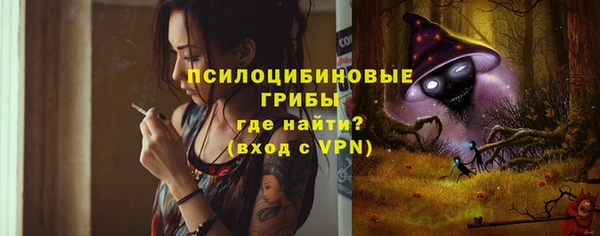 бошки Каменногорск
