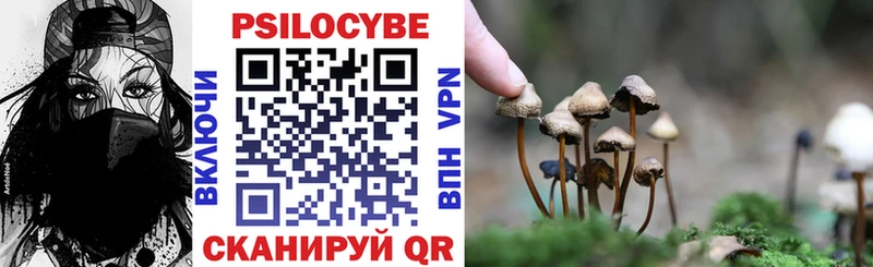 Купить  Никольск  Псилоцибиновые грибы прущие грибы 